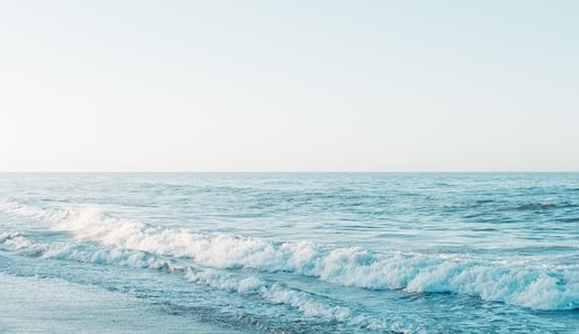 クレマチスの花後処理